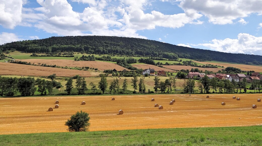 07768 Gumperda, Germany