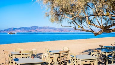 A beachside café with tables and chairs under a tree, overlooking a calm sea and distant mountains.
