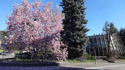 Banca Popolare di Bergamo Via Armando Diaz 13, 21050 Marnate VA