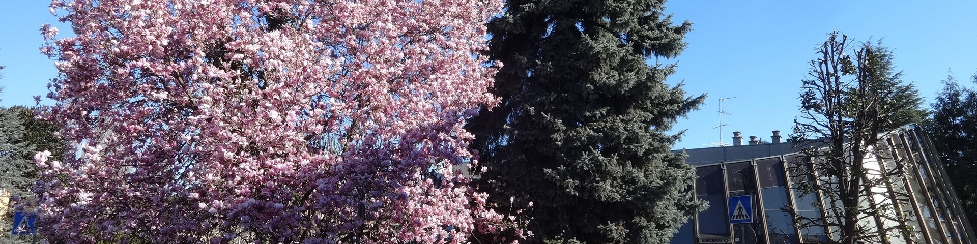 Banca Popolare di Bergamo Via Armando Diaz 13, 21050 Marnate VA