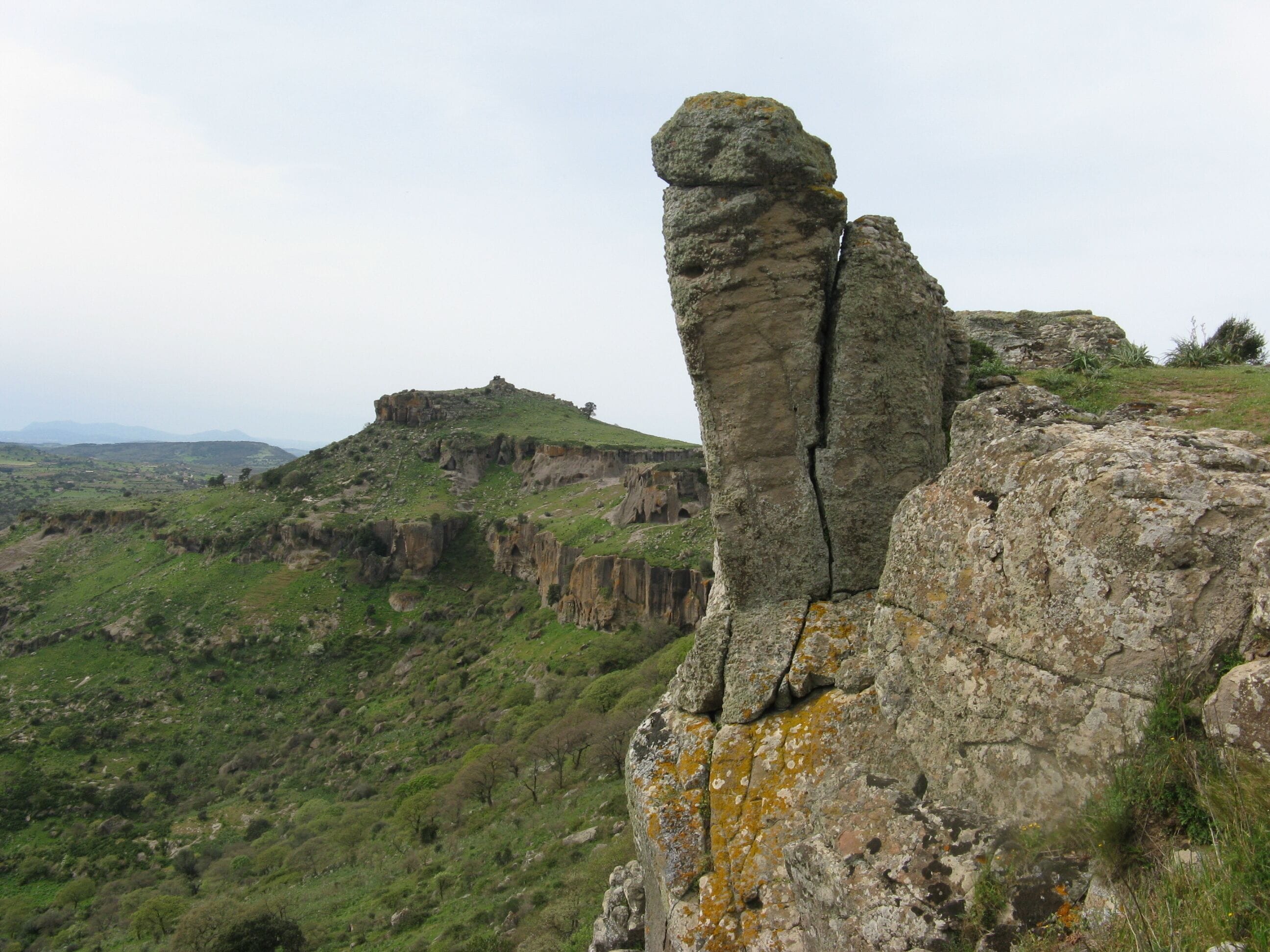 A rock formation with a prominent vertical crack.