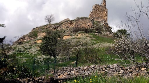 Castell de Conques (Isona i Conca Dellà ) This is a photo of a monument indexed in the Spanish heritage register of Bienes de Interés Cultural under the reference RI-51-0006356.