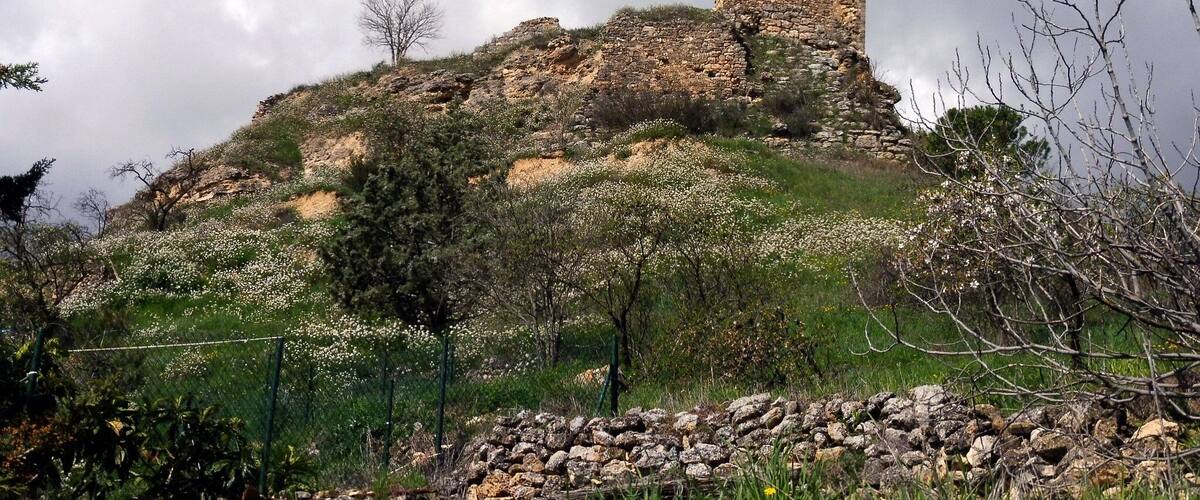 A ruined stone structure on a hill with blooming white flowers and green vegetation.