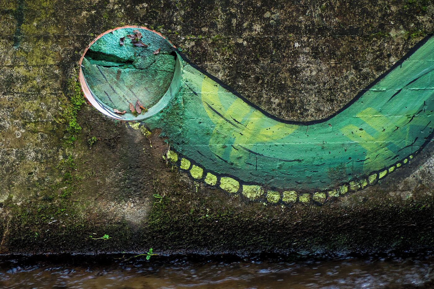 A green, curved structure with a circular opening, partially covered by moss.
