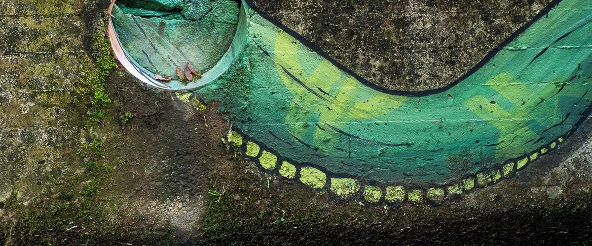 A green, curved structure with a circular opening, partially covered by moss.