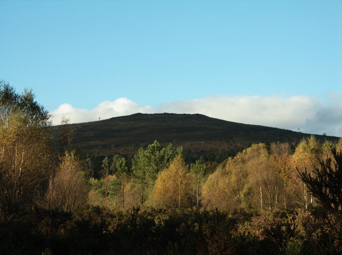 A coroa de Castrillán dende a Veiga da Torre