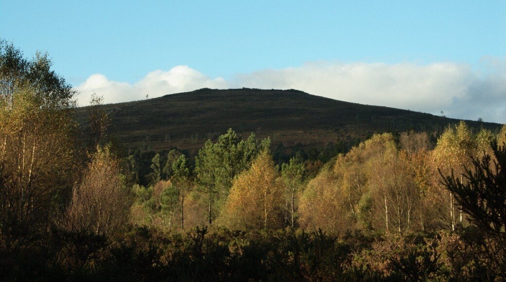 A coroa de CastrillĂĄn dende a Veiga da Torre