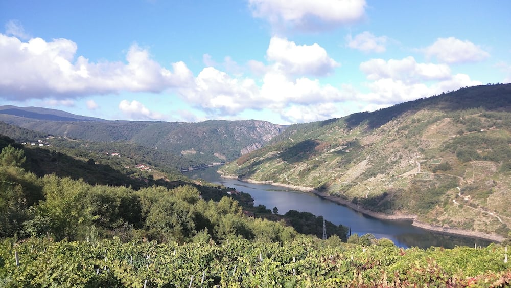 A valley with a river, vineyards, and hills.