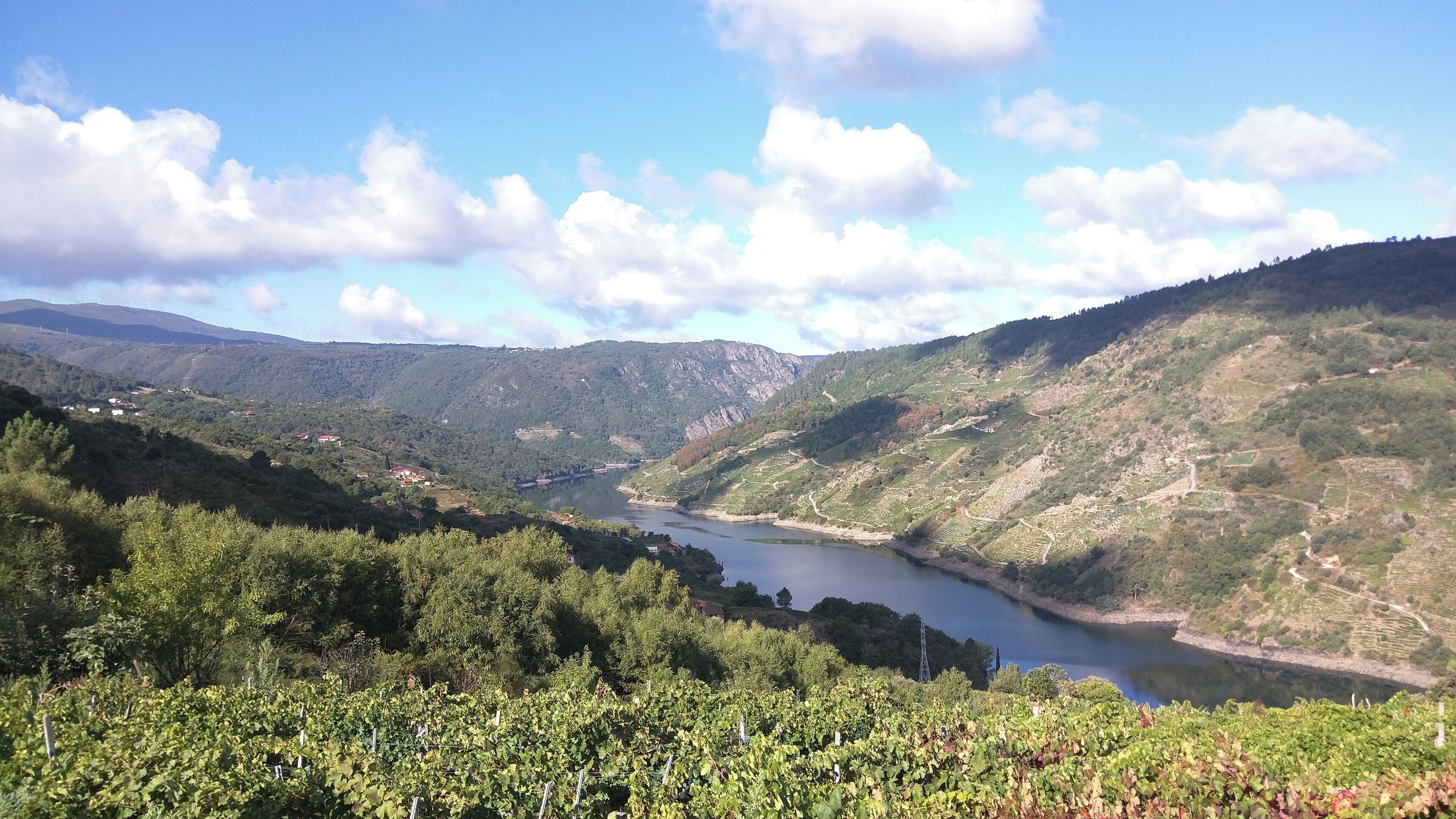 A valley with a river, vineyards, and hills.