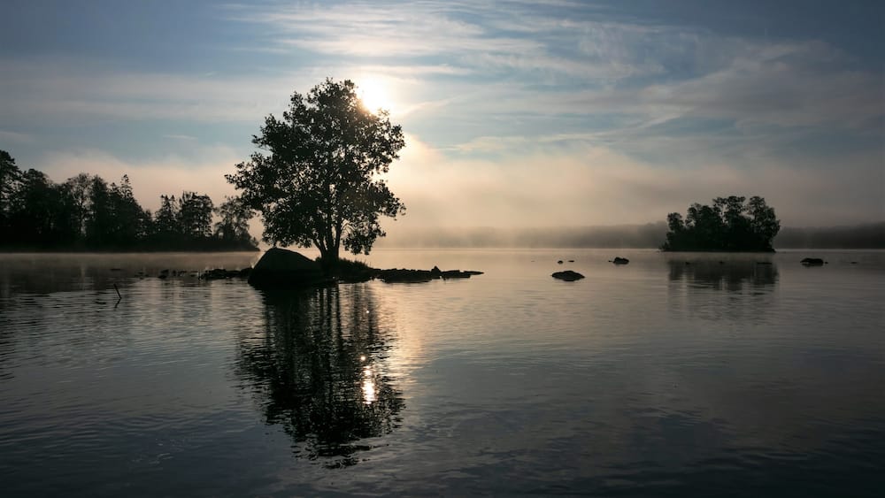 Un lac paisible, avec un arbre qui se reflĂšte dans lâeau et oĂč le soleil se mire, entourĂ© de brume et de bois lointains.