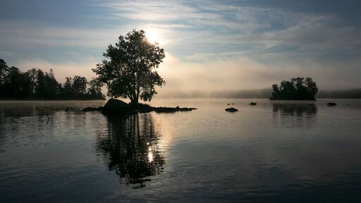 Väckelsång