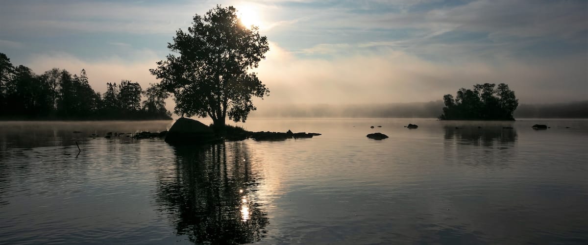 A calm lake with a tree reflecting the sun, surrounded by mist and distant trees.