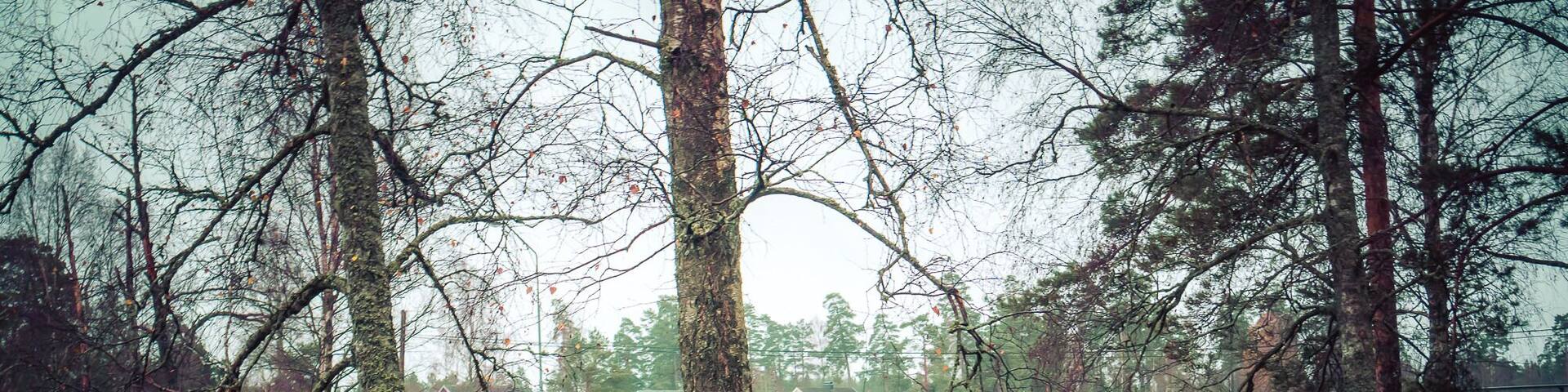 A beautiful spot in Nittorp.