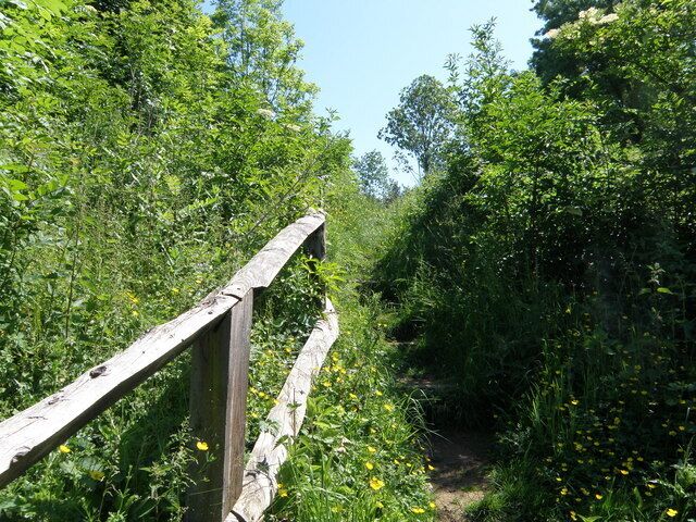 Handrail deep in the Linches Deep in the Linches wood on the Nene Way is a short but steep hill which comes as a shock after miles of modest undulations. A handrail and steps over come the grassy bank which could be difficult if wet.