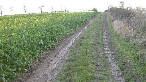 Bridleway. Looking south.