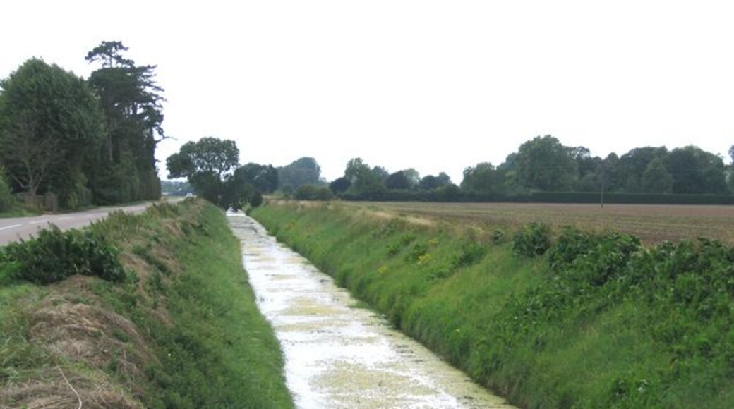 Risegate Eau, Gosberton Wargate, Lincs. flanked by the B1397 Station Road.