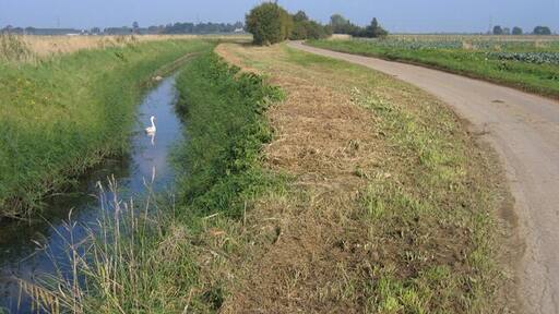 Drain beside Low Gate, Gosberton, Lincs