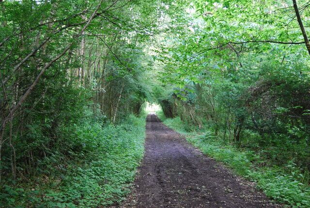 Bridleway, Coach Road Woods