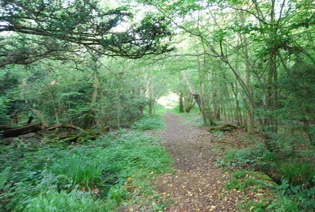 Bridleway, Dene Park (3)