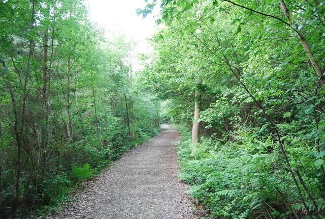 Bridleway, Dene Park (2)