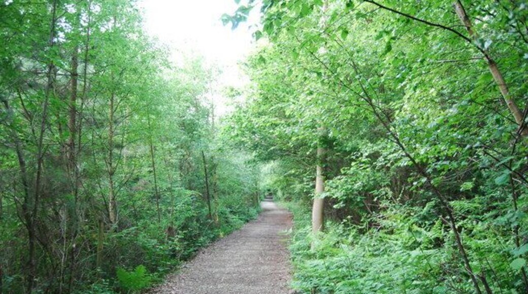 Bridleway, Dene Park (2)