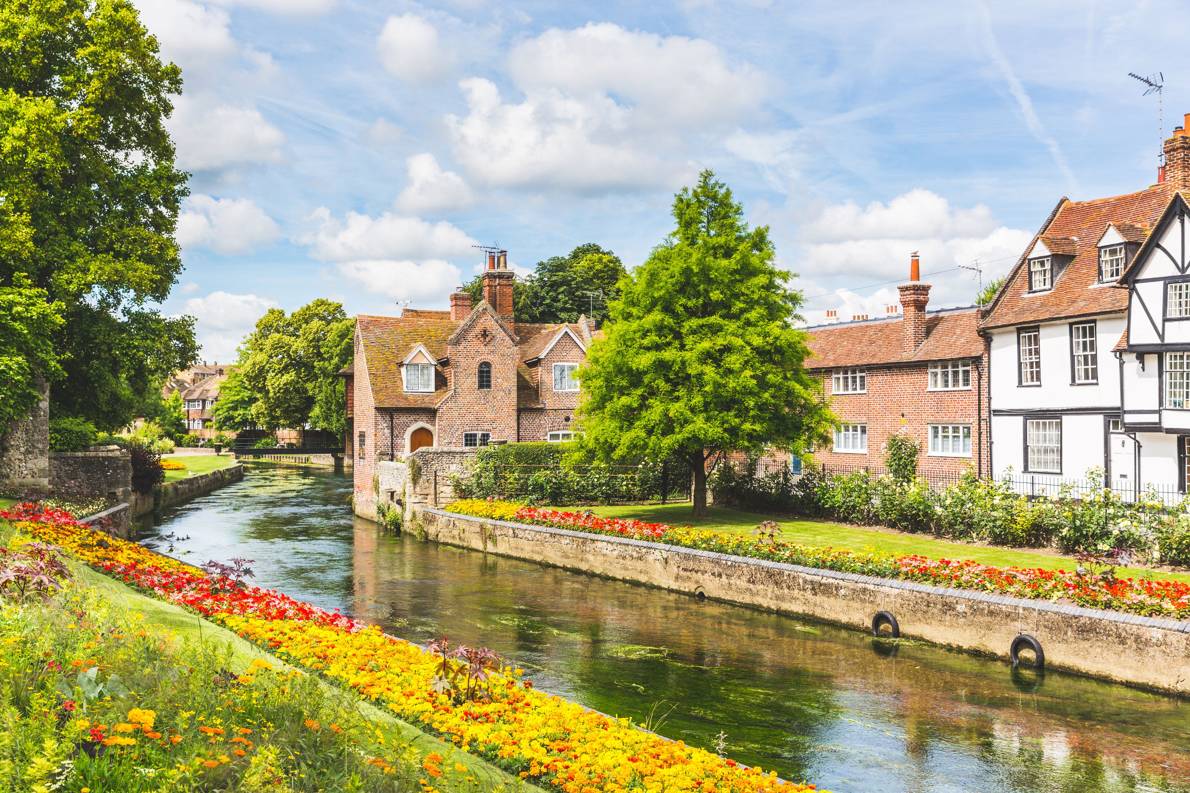 A river with a flower-lined path, traditional brick buildings, and a large tree.