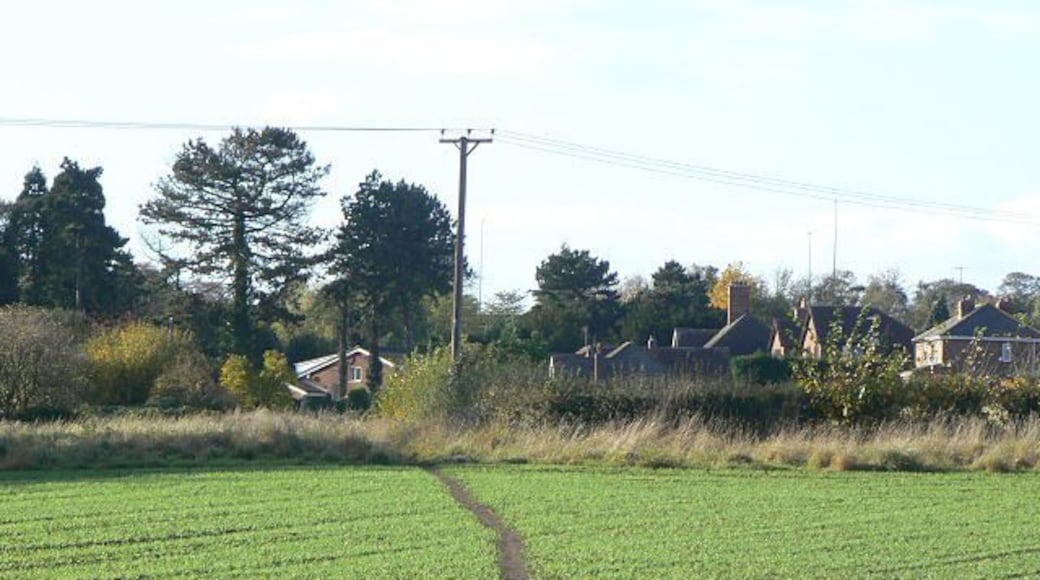 Footpath to Nuthall It doesn't seem that the local farmer has formally reinstated the footpath after sowing the crop, but is well marked from use.