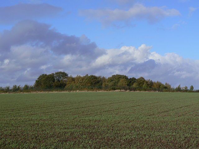 High Wood This now forms the centre of Nottingham's latest Cemetery.