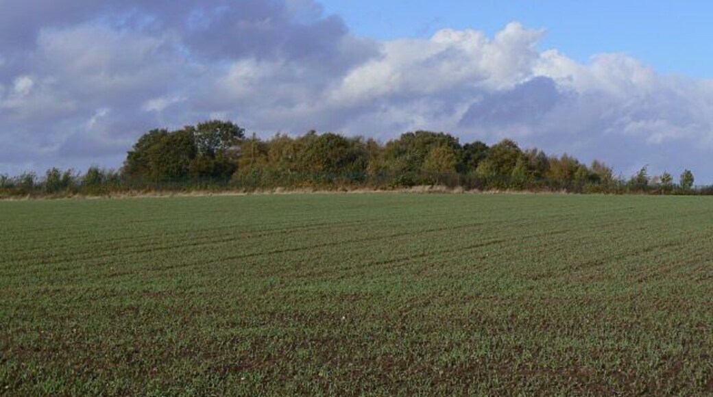 High Wood This now forms the centre of Nottingham's latest Cemetery.