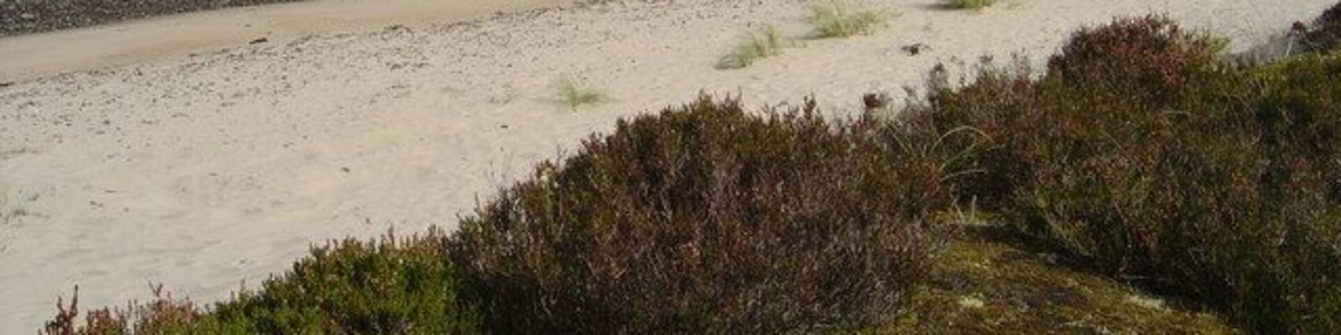 Singing Sands These dunes overlook the sands at Camas an Lighe, known as the Singing Sands. Signs warn of unexploded ordnance from a previous, wartime, use.