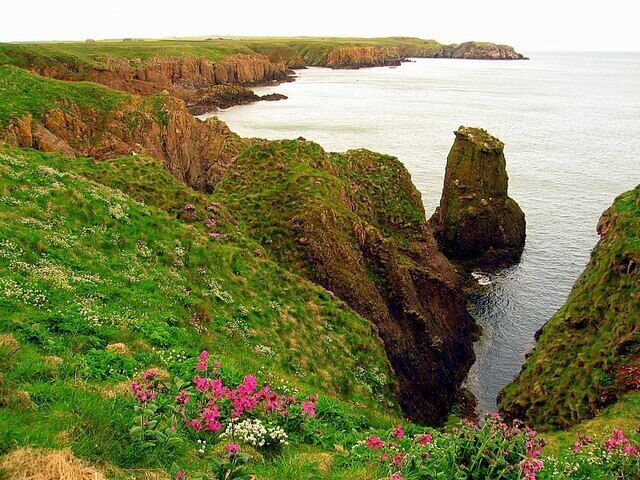 A coastal landscape with grassy cliffs and a prominent rock formation.