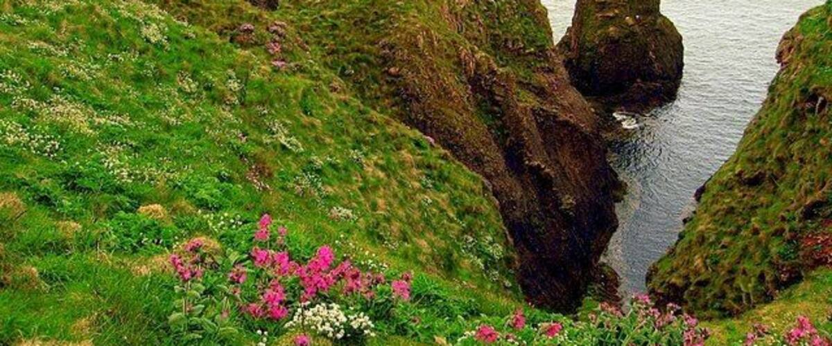 Un paysage côtier caractérisé par des falaises herbeuses et une formation rocheuse imposante.
