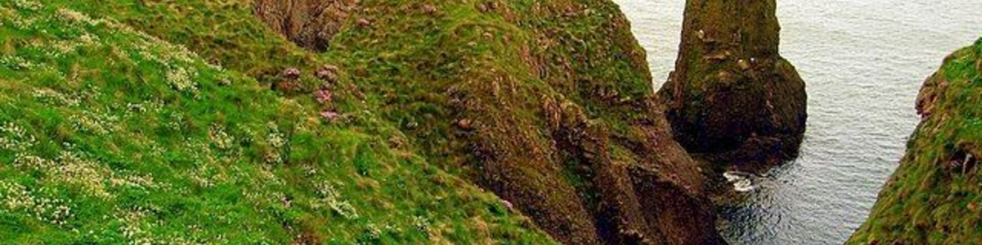 Un paysage côtier caractérisé par des falaises herbeuses et une formation rocheuse imposante.