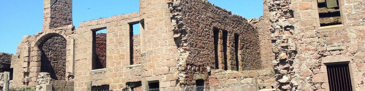 Picture perfect on a sunny day