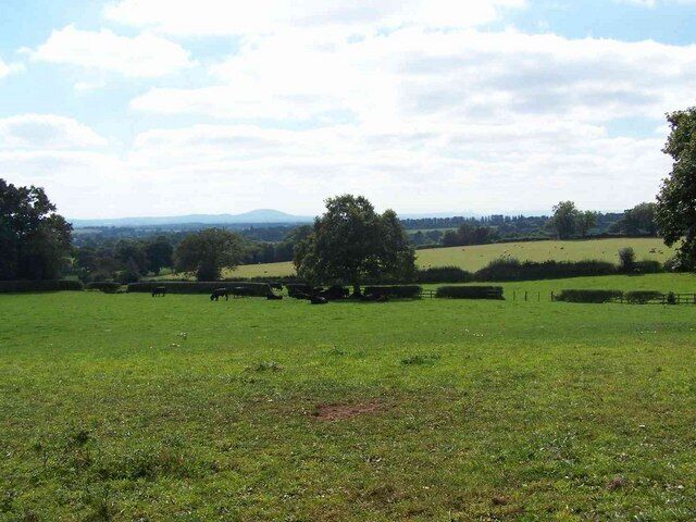 A green field with trees and hills in the background.