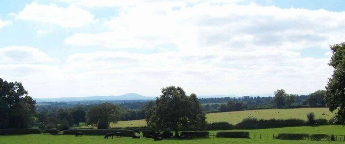 A green field with trees and hills in the background.