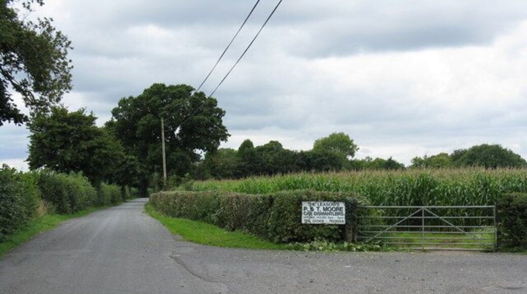 Maize field near The Leasowe Unexpectedly in the otherwise rural location, the sign denotes the entry to a commercial car dismantling operation.