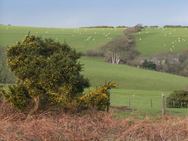 View from the South West near Minehead