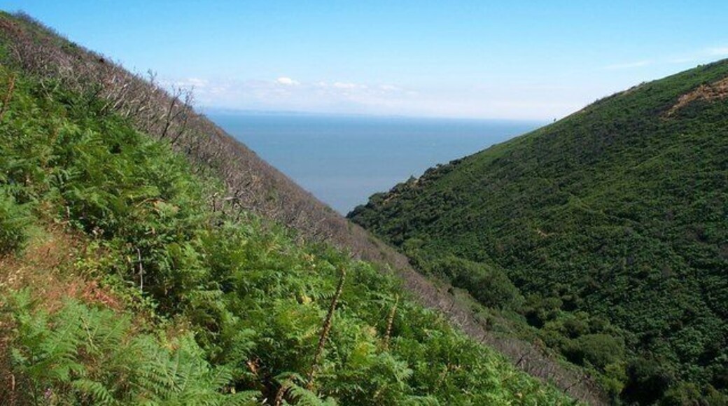 Grexy Combe. The Combe is National Trust Land, and a footpath, from which the photo was taken, runs along it and then to the left along the coastline.