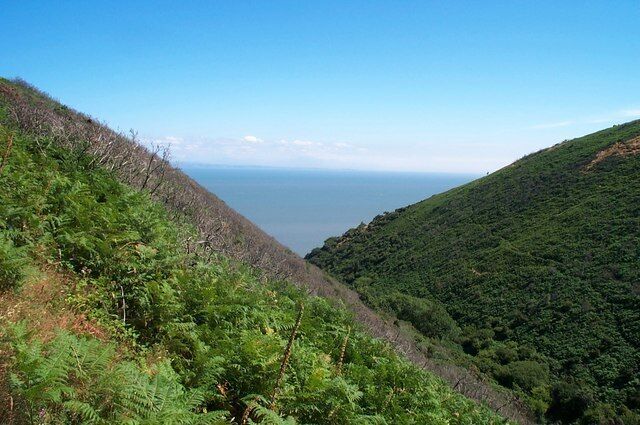 A coastal landscape with dense green vegetation and a clear view of the ocean.