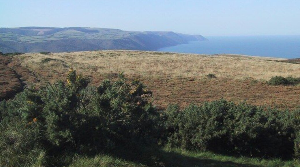 Slopes of Selworthy Beacon
