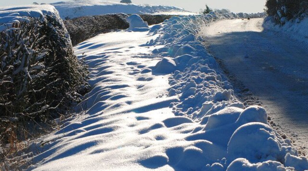 Roadside snow