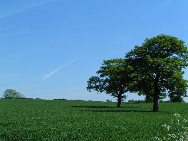View up the hill. Taken from the lane running south-west from the village of Hanchurch