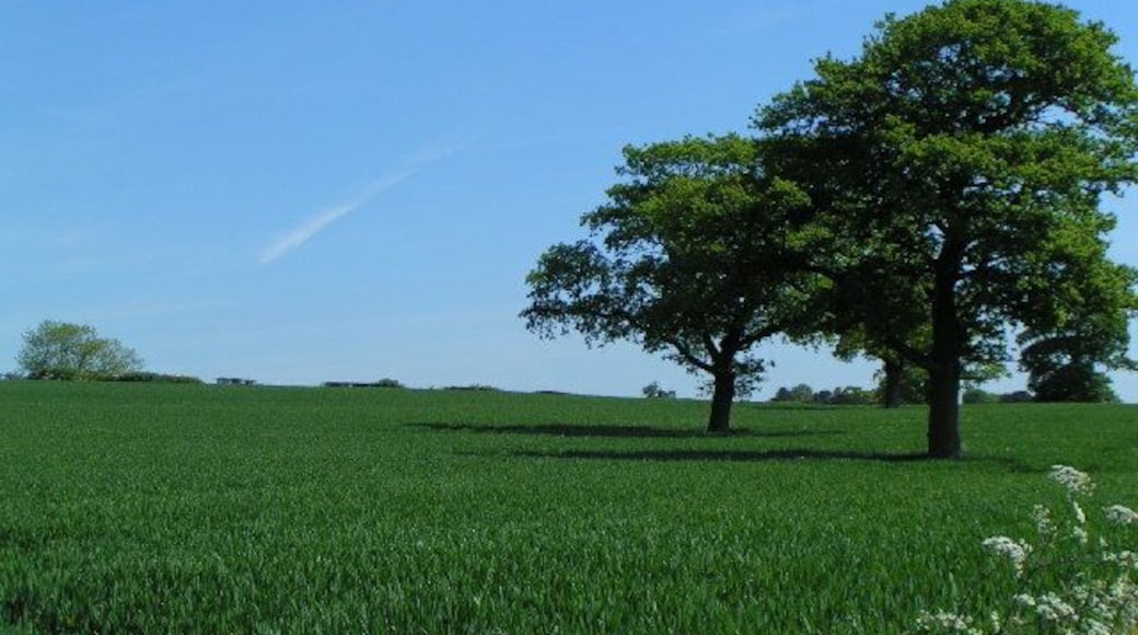 View up the hill. Taken from the lane running south-west from the village of Hanchurch
