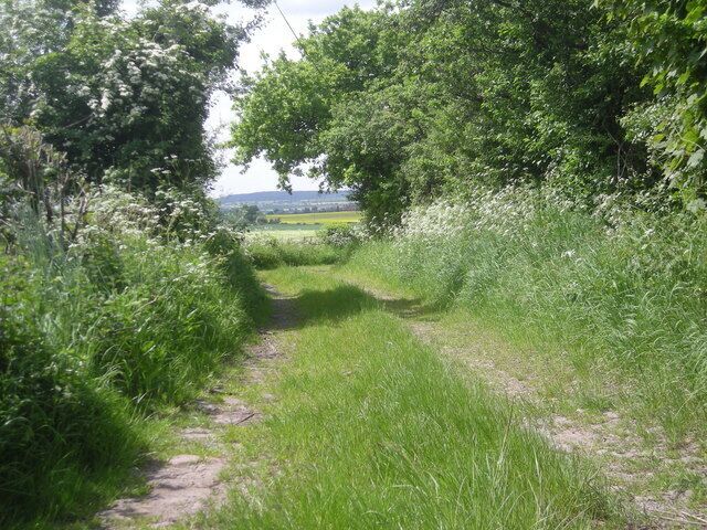 Farm track at Leaton