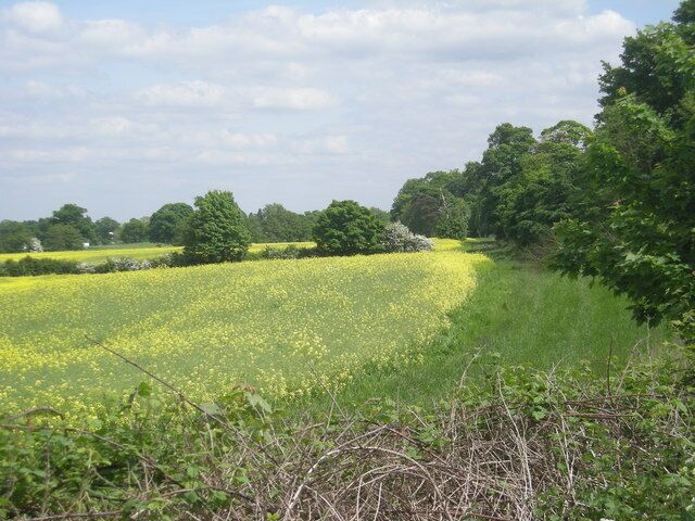 Peaceful but not quiet This scene is within yards of the M54 & at times it is quite deafening.