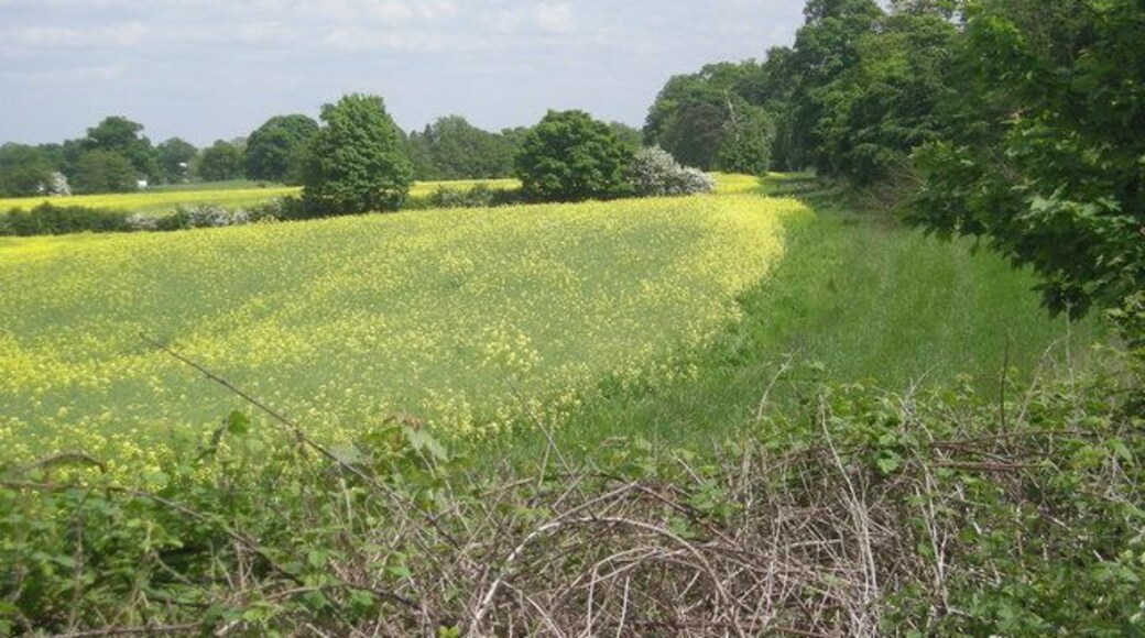 Peaceful but not quiet This scene is within yards of the M54 & at times it is quite deafening.