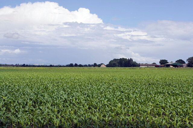 View eastwards towards Park House. I guess that the hills in the distance (towards the left) are the Yorkshire Wolds.
