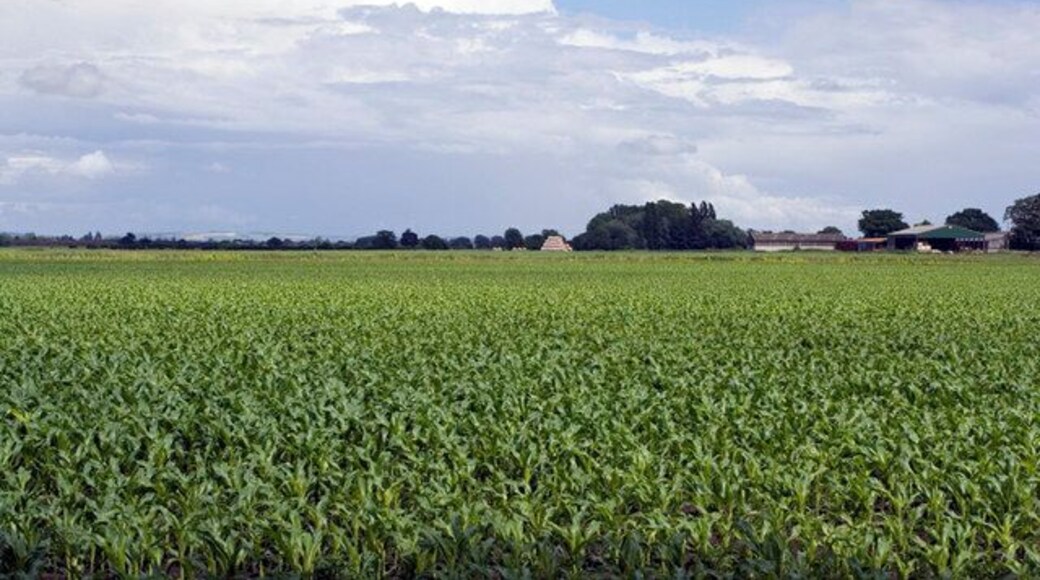 View eastwards towards Park House. I guess that the hills in the distance (towards the left) are the Yorkshire Wolds.