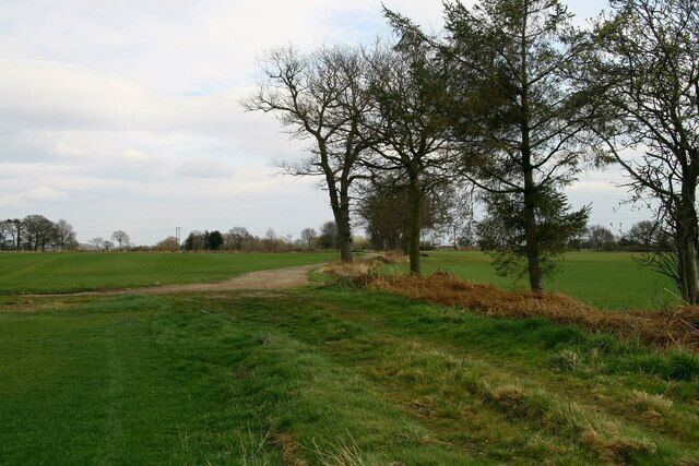Dead End Paths Crook Moor is behind but the path ahead whether to left or right leads to a dead end.